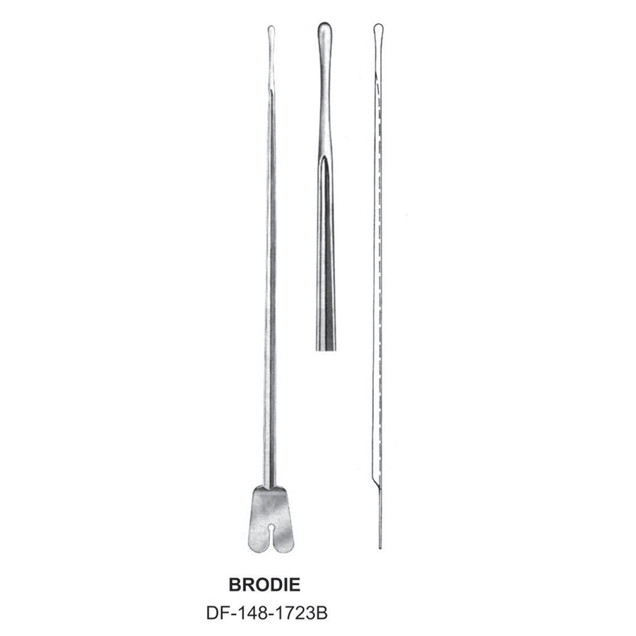 Brodie Director  20cm (DF-148-1723B) by Dr. Frigz