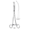 Bronchus Image