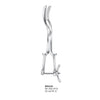 Umbilical Cord Image