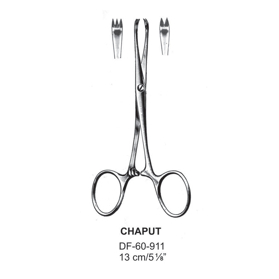 Chaput Artery Forceps, 2X3 Teeth, 13cm (DF-60-911) by Dr. Frigz