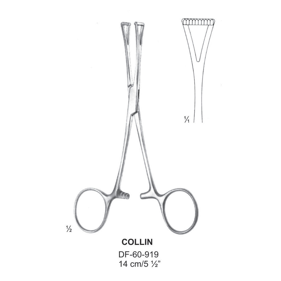 Collin Artery Forceps, Triangled Jaw, 14cm  (DF-60-919) by Dr. Frigz