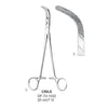 Gall Duct Image