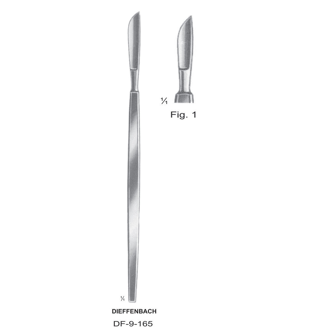Dieffenbach Operating Scalpels Fig. 1 (DF-9-165) by Dr. Frigz