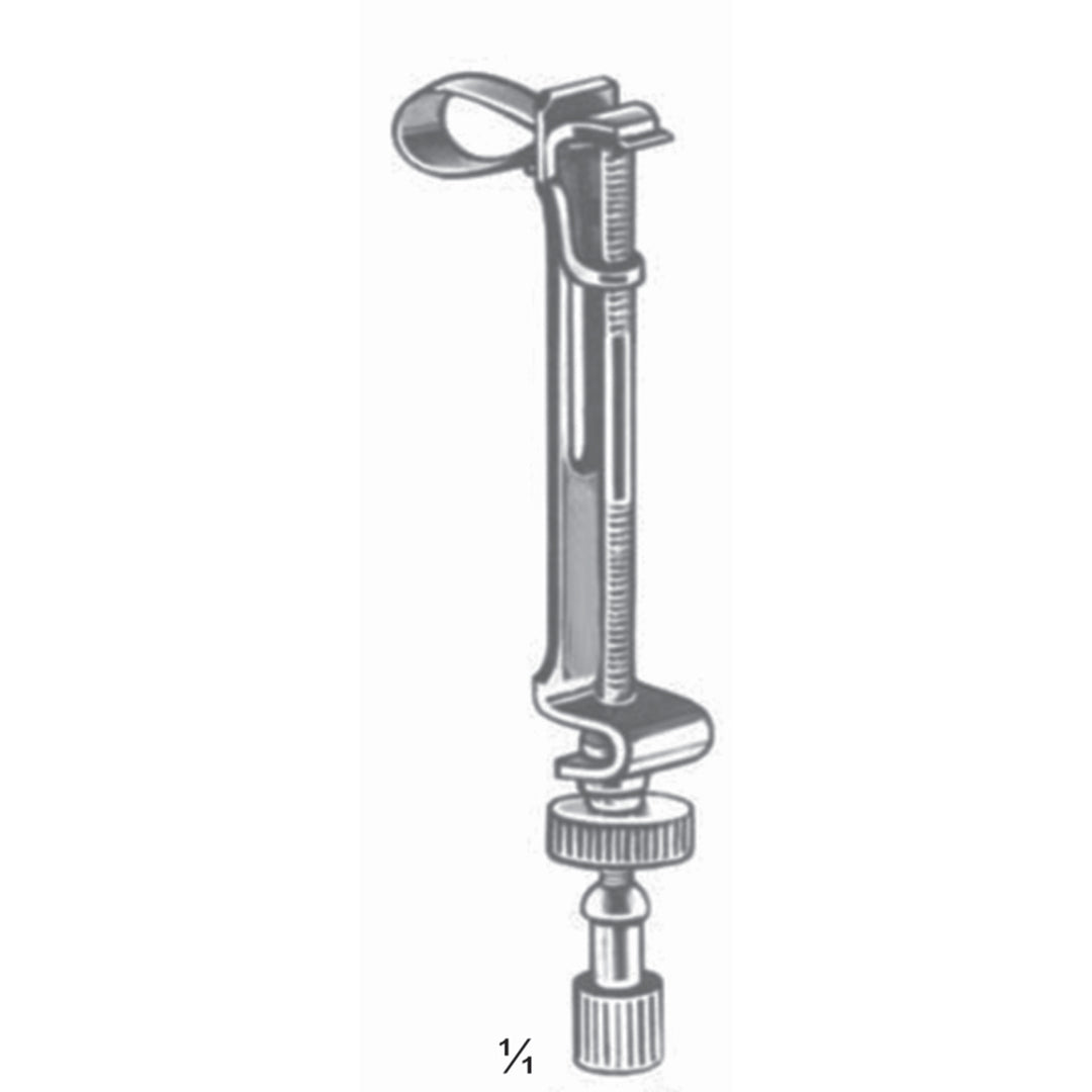 Ivory 8 Matrix Retainers 5 mm (T-006-05) by Dr. Frigz