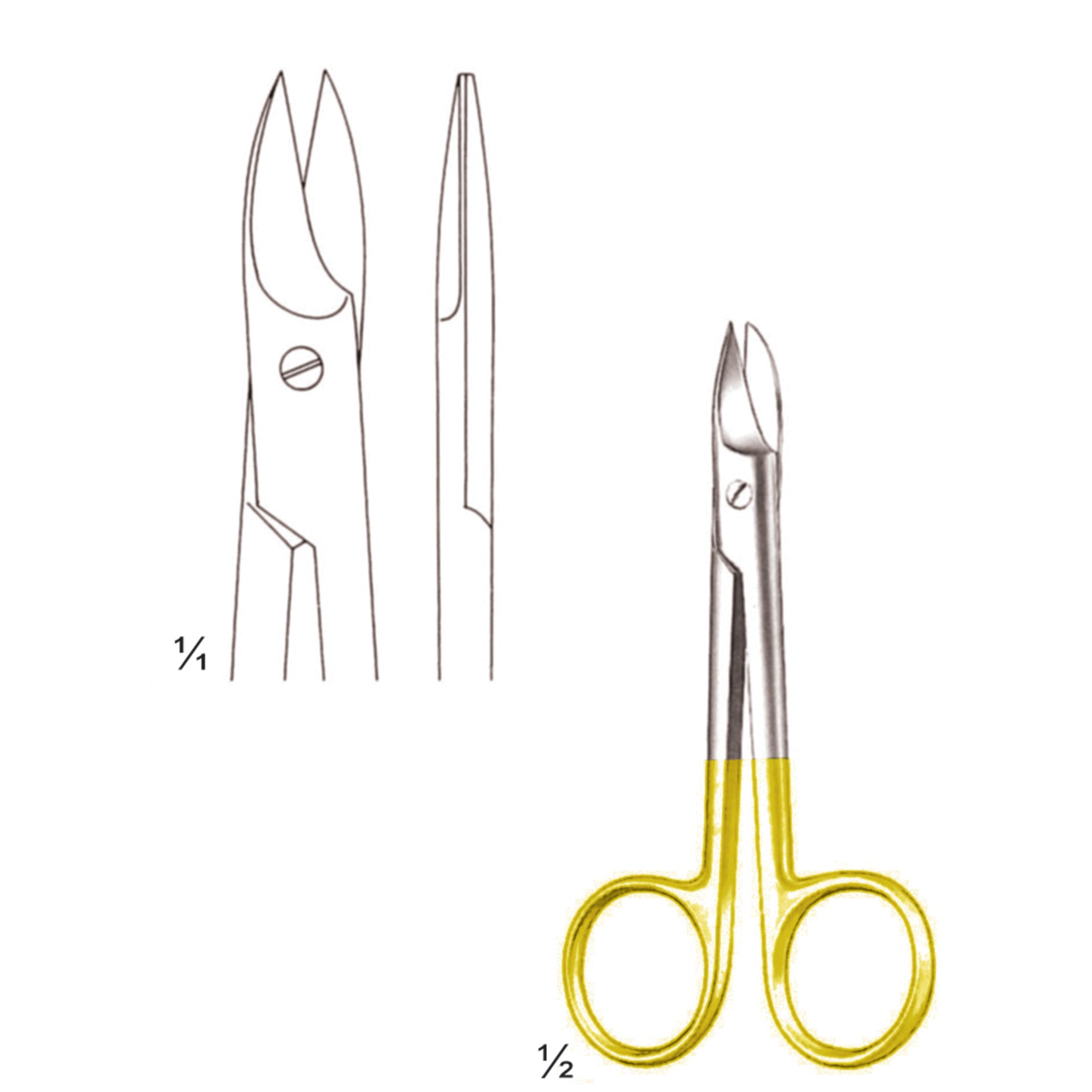 Tc Beebee Scissors Surgery Instrument – Dr Frigz