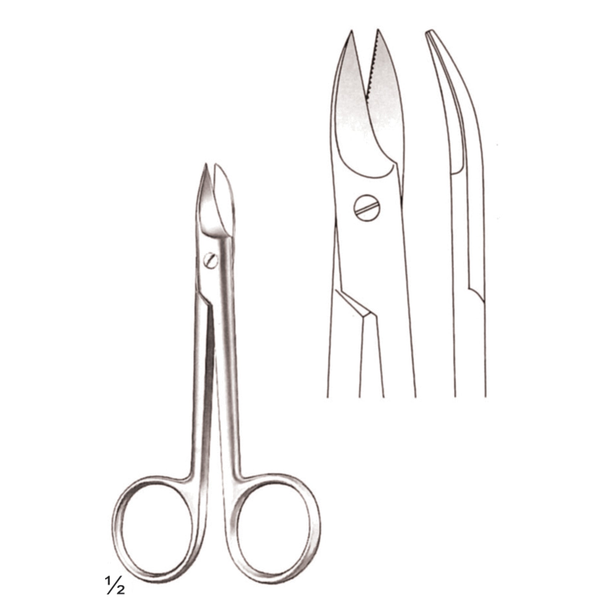 Beebee Scissors Curved Surgery Instrument – Dr Frigz