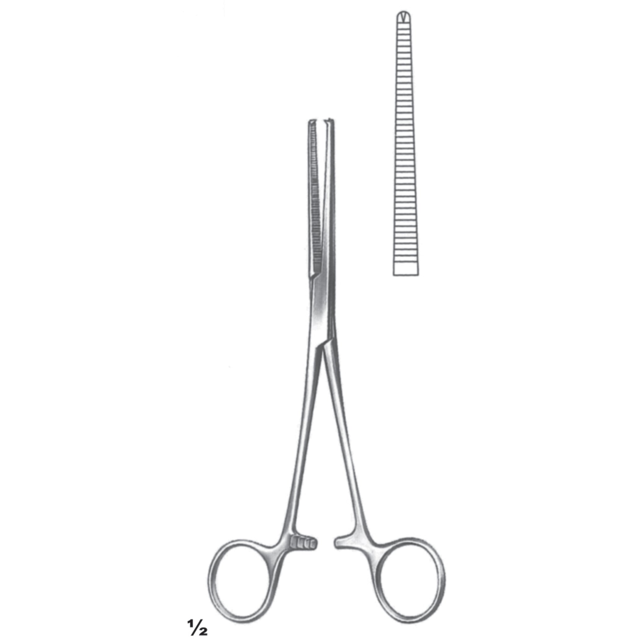 Kocher Artery Forceps Surgery Instrument – Dr Frigz