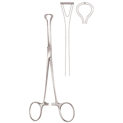 Babcock Artery Forceps Straight 16cm (D-046-16) by Dr. Frigz