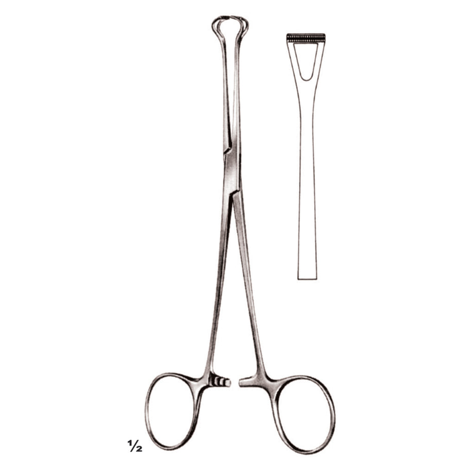 Babcock Artery Forceps Straight 16cm Atrauma (D-051-16) by Dr. Frigz