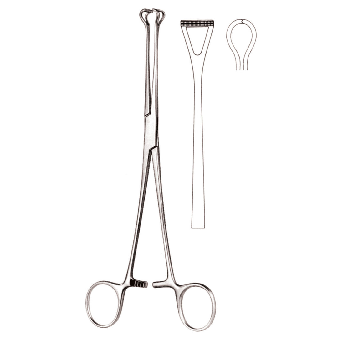 Babcock Artery Forceps Straight 20.5cm Atrauma (D-052-20) by Dr. Frigz