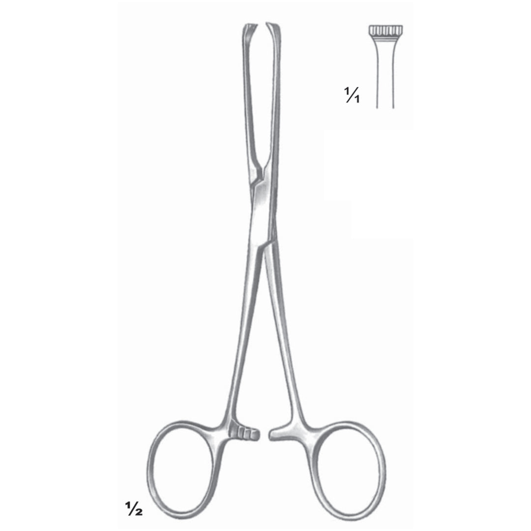 Allis Artery Forceps 4:5 Straight 15.5cm (D-053-15) by Dr. Frigz