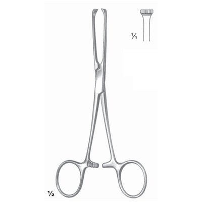 Allis Artery Forceps 4:5 Straight 15.5cm (D-053-15)