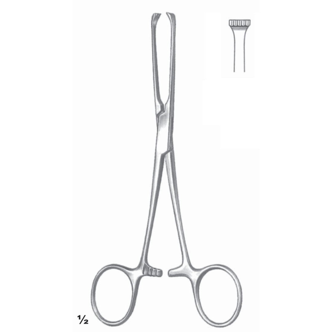 Allis Artery Forceps 5:6 Straight 15.5cm (D-054-15) by Dr. Frigz