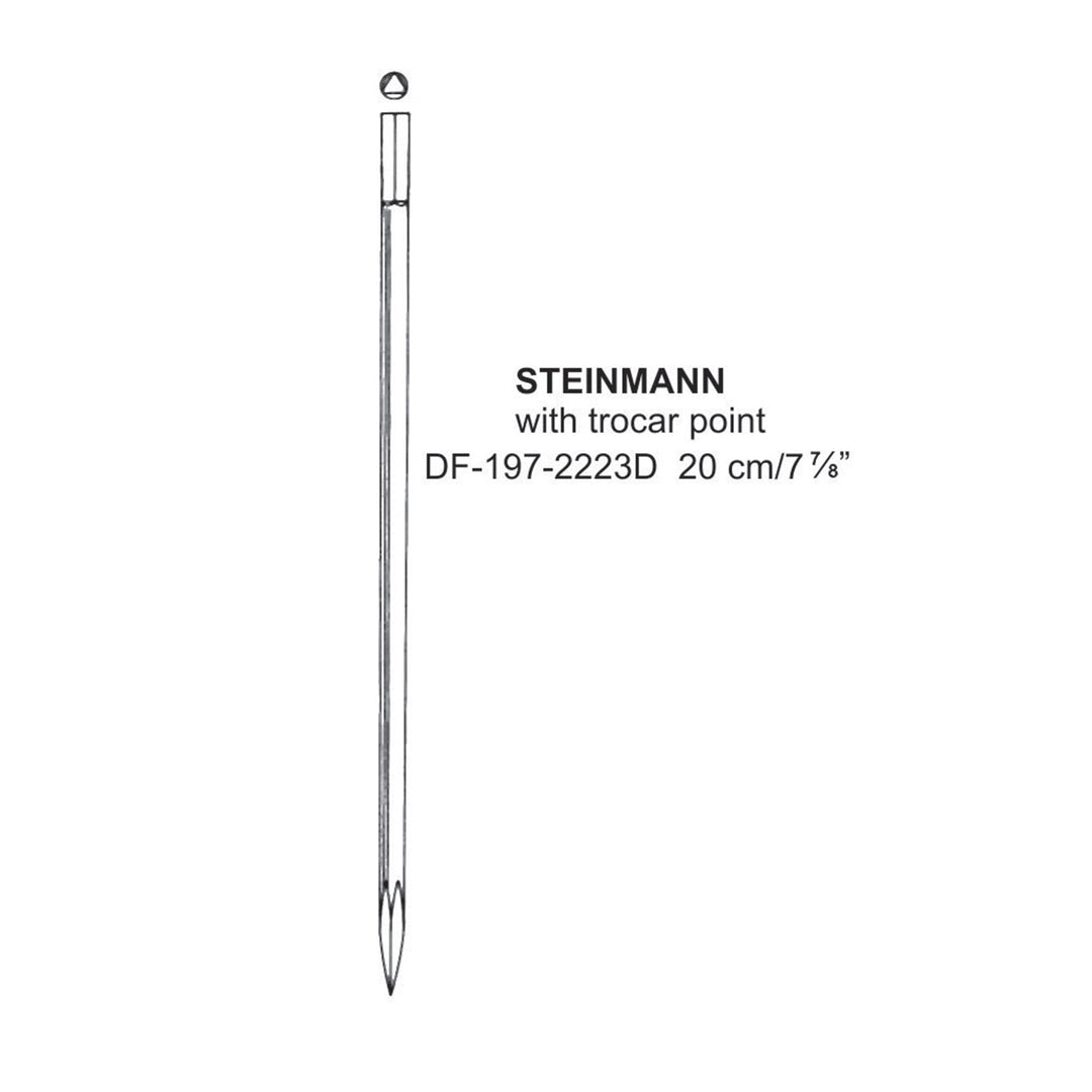 Steinmann Extension Pin, 20cm (DF-197-2223D) by Dr. Frigz