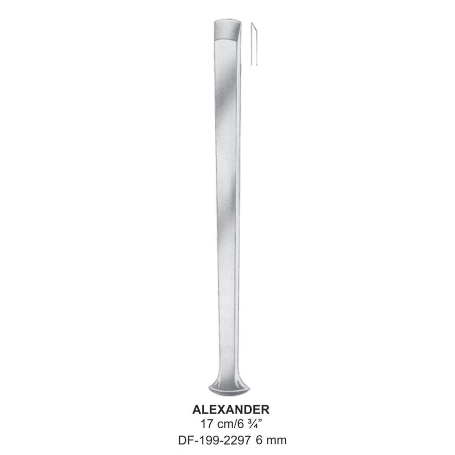 Alexander Bone Chisels 17Cm,6mm  (DF-199-2297) by Dr. Frigz