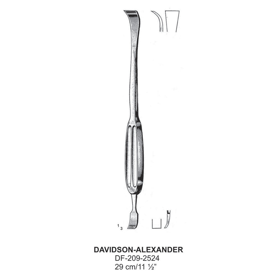 Davidson-Alexander Raspatory, 29cm  (DF-209-2524) by Dr. Frigz