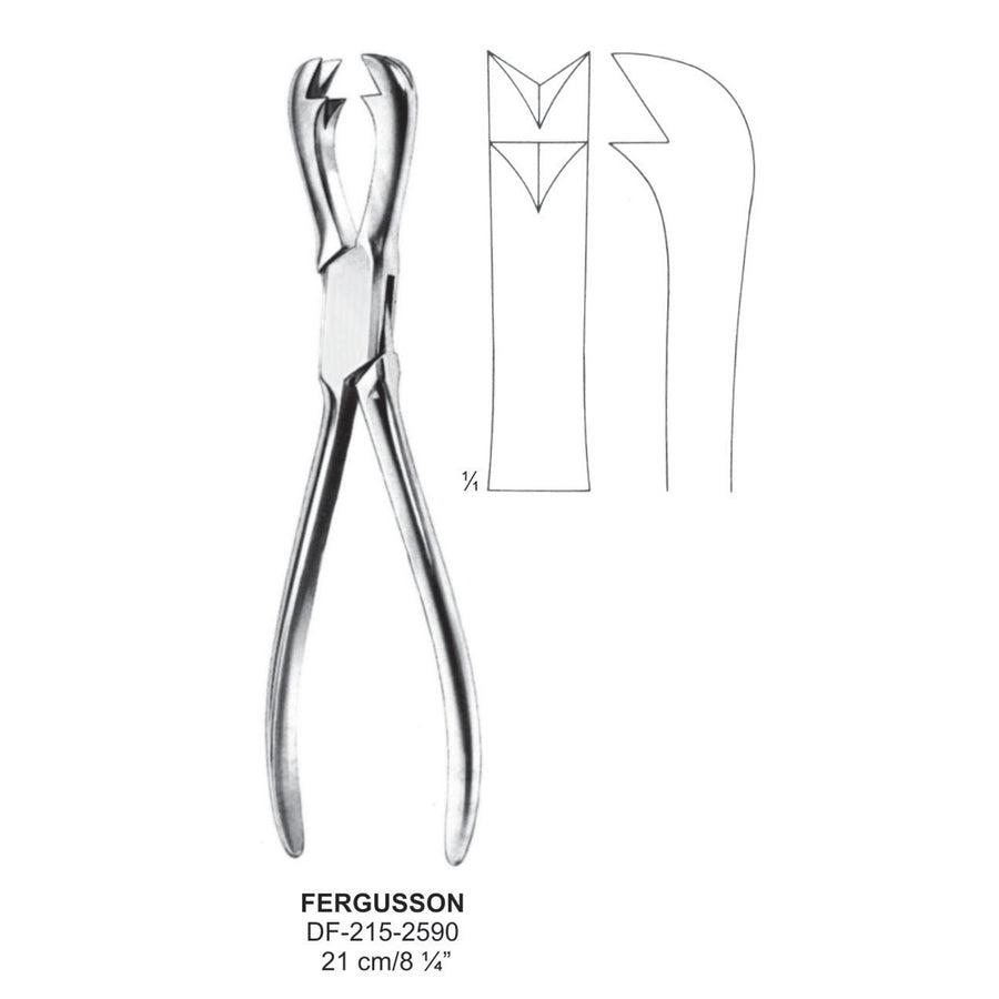 Fergusson Bone Holding Forceps 21cm  (DF-215-2590) by Dr. Frigz