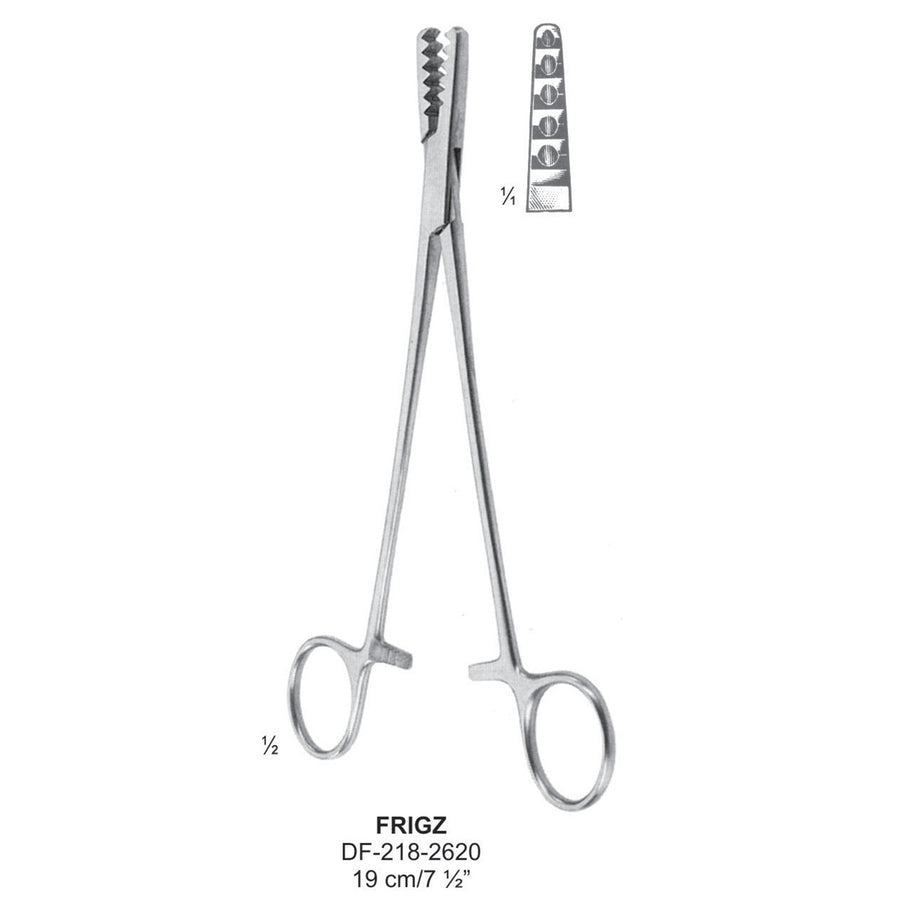 Frigz Bone Holding Forceps 19cm  (DF-218-2620) by Dr. Frigz