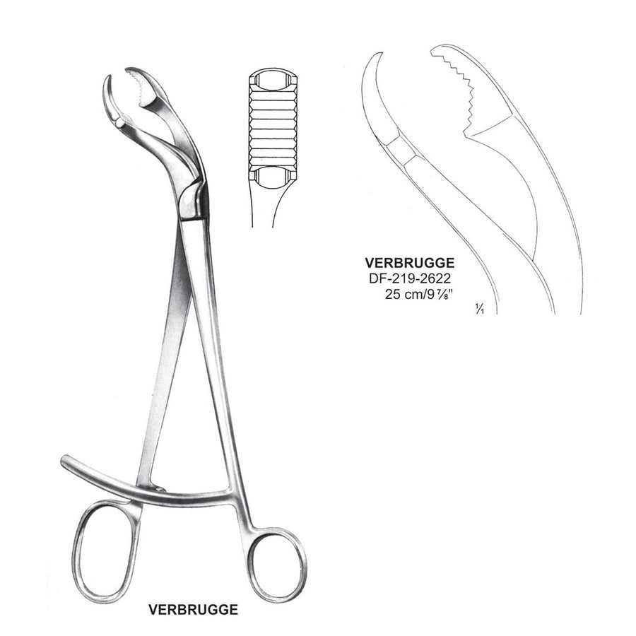 Verbrugge Bone Holding Forceps 9.5mm Jaws, 25cm  (DF-219-2622) by Dr. Frigz