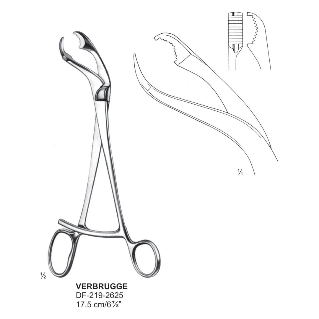 Verbugge Bone Holding Forceps 6mm Jaws, 17.5cm  (DF-219-2625) by Dr. Frigz