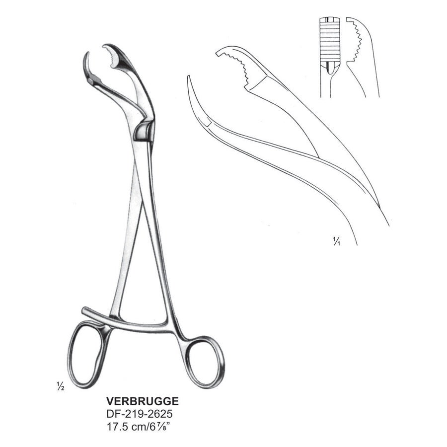 Verbugge Bone Holding Forceps 6mm Jaws, 17.5cm  (DF-219-2625) by Dr. Frigz