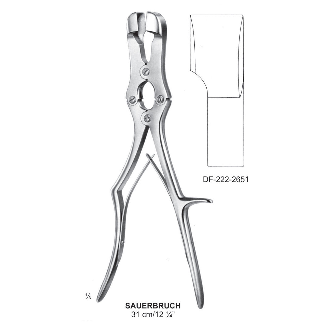 Sauerbruch Bone Rongeurs , 31cm (DF-222-2651) by Dr. Frigz
