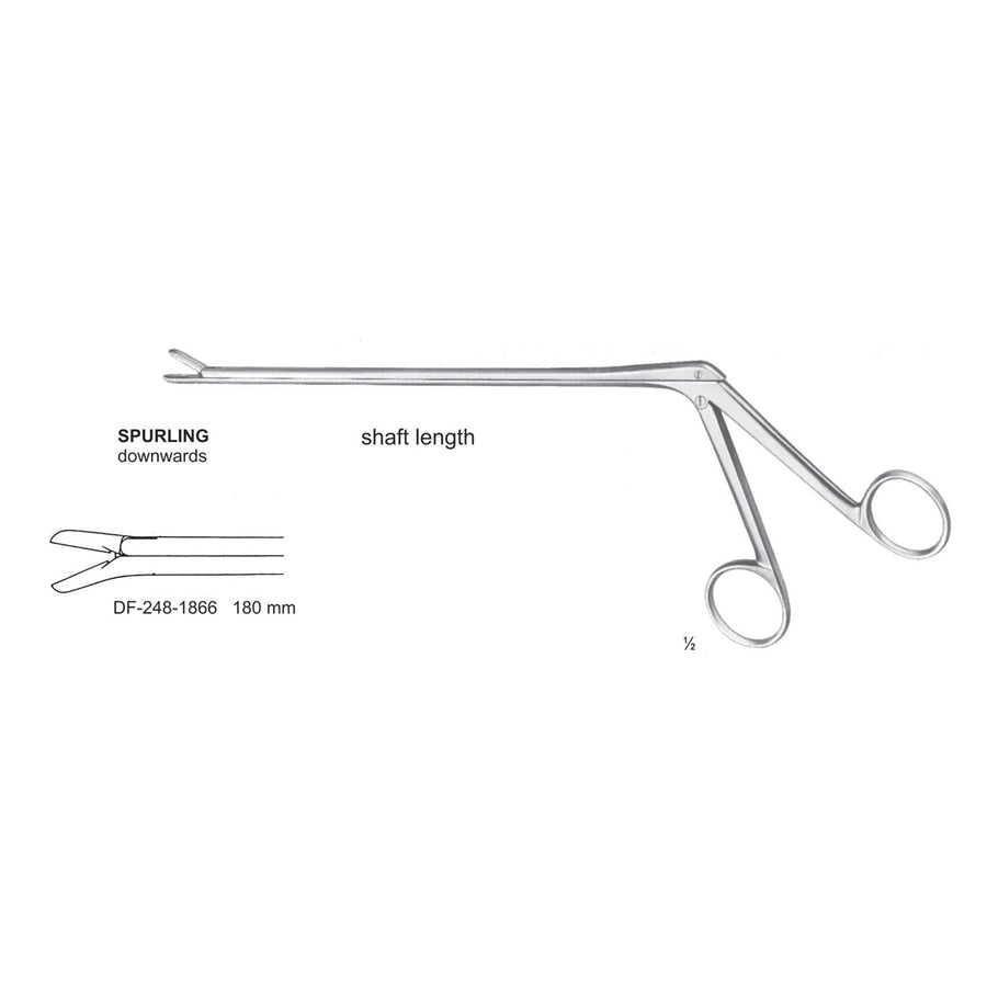 Spurling Laminectomy Punches Downwards, Shaft Length 150mm ,  Working Point 4X10mm (DF-248-1865) by Dr. Frigz