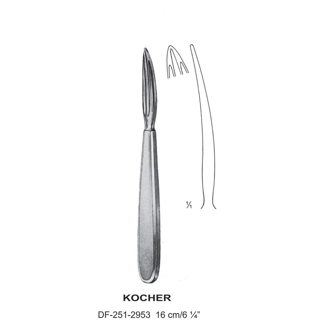 Kocher Goitre, 16cm (DF-251-2953) by Dr. Frigz