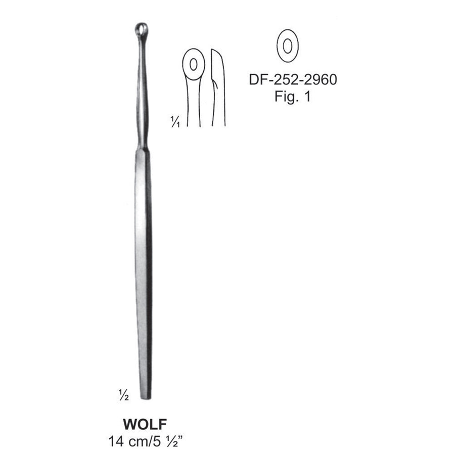 Wolf Lupus Scoop, 14Cm. Fig.1  (DF-252-2960) by Dr. Frigz