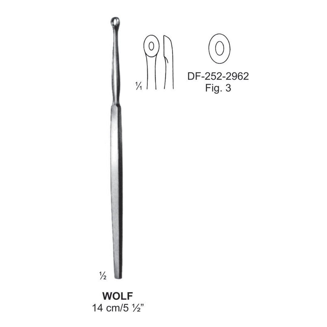 Wolf Lupus Scoop, 14Cm. Fig.3  (DF-252-2962) by Dr. Frigz