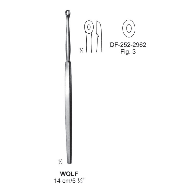 Wolf Lupus Scoop, 14Cm. Fig.3  (DF-252-2962) by Dr. Frigz