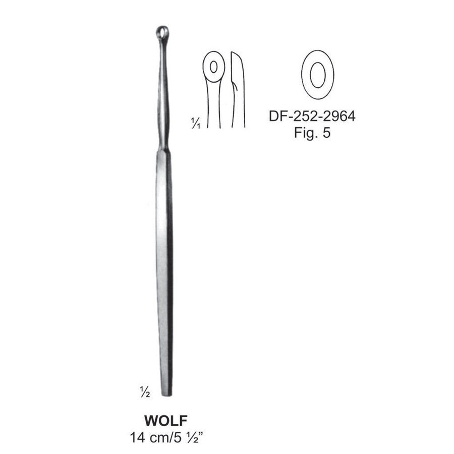 Wolf Lupus Scoop, 14Cm. Fig.5  (DF-252-2964) by Dr. Frigz