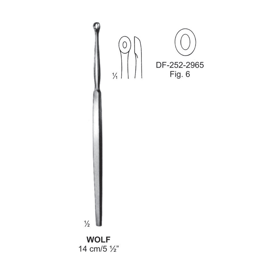 Wolf Lupus Scoop, 14Cm. Fig.6  (DF-252-2965) by Dr. Frigz