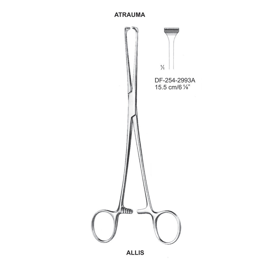 Allis  Atrauma Tissue Forceps 15.5cm  (DF-254-2993A) by Dr. Frigz