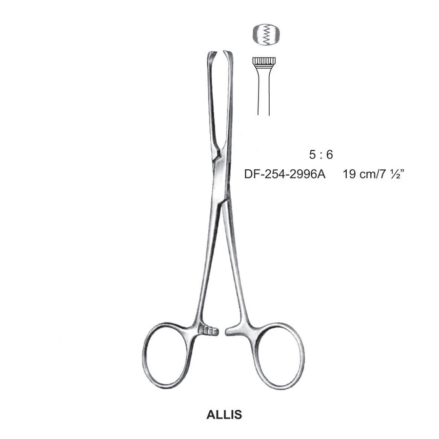 Allis Tissue-Forceps  5X6 Teeth 19cm  (DF-254-2996A) by Dr. Frigz