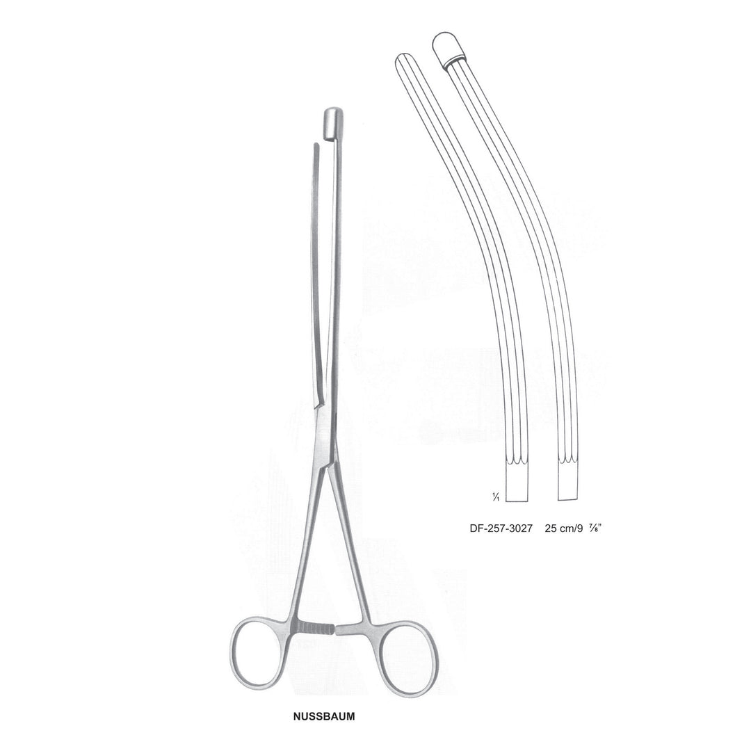 Nussbaum Intestinal Clamp Forceps 25Cm, Curved (DF-257-3027) by Dr. Frigz