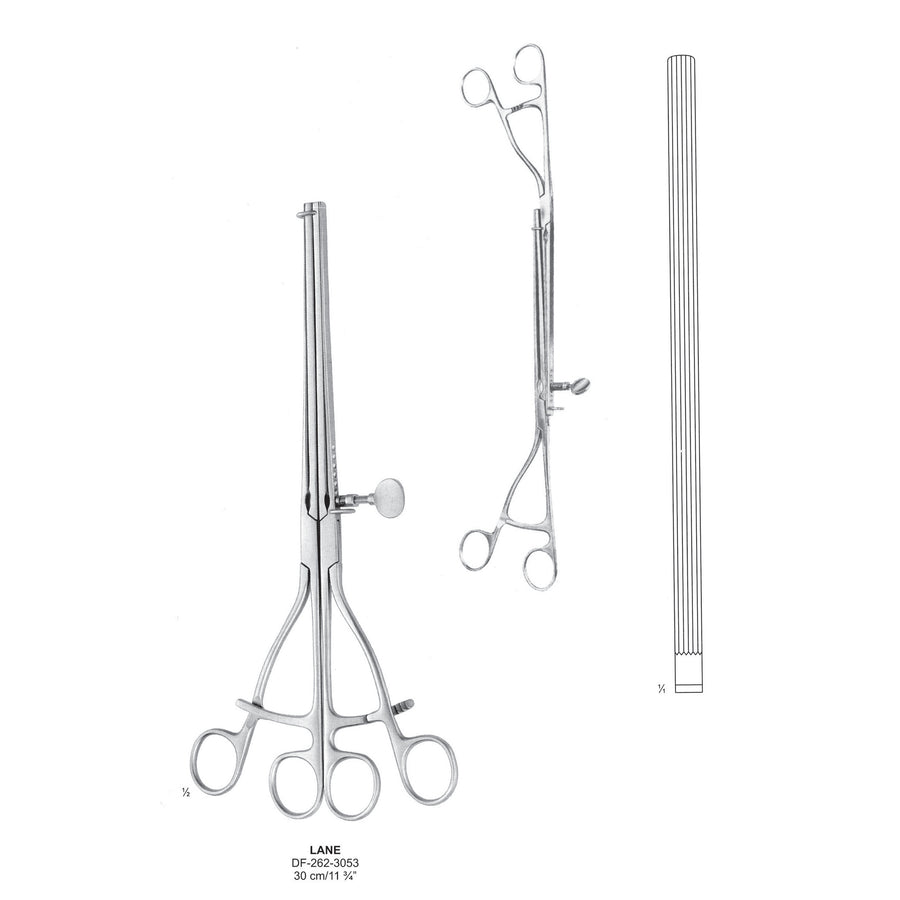 Lane Stomach Twin Clamp, 30cm , Straight (DF-262-3053) by Dr. Frigz