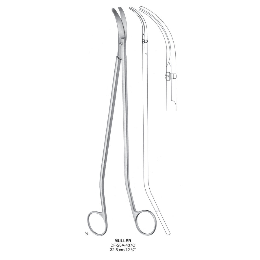 Muller Scissors, 32.5cm  (DF-28A-437C) by Dr. Frigz
