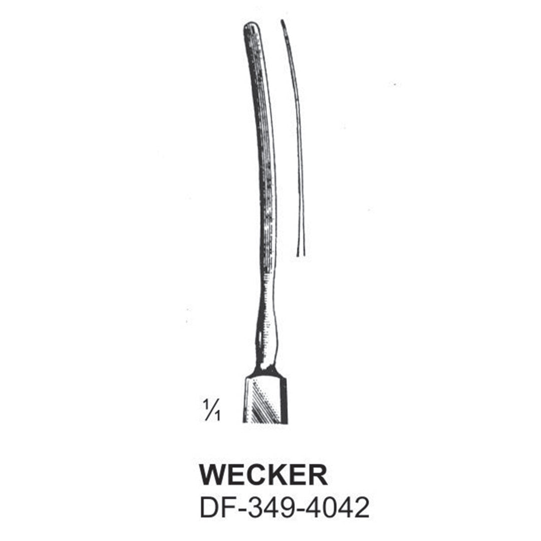 Wecker,  Iris Spatulas  (DF-349-4042) by Dr. Frigz