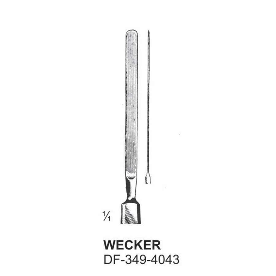 Wecker,  Iris Spatulas  (DF-349-4043) by Dr. Frigz