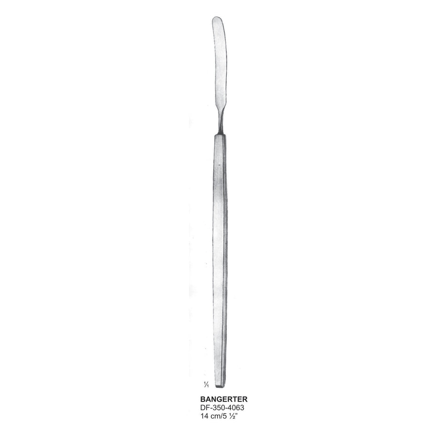 Bangerter, Cyclodialysis Spatulas, 14 cm  (DF-350-4063) by Dr. Frigz