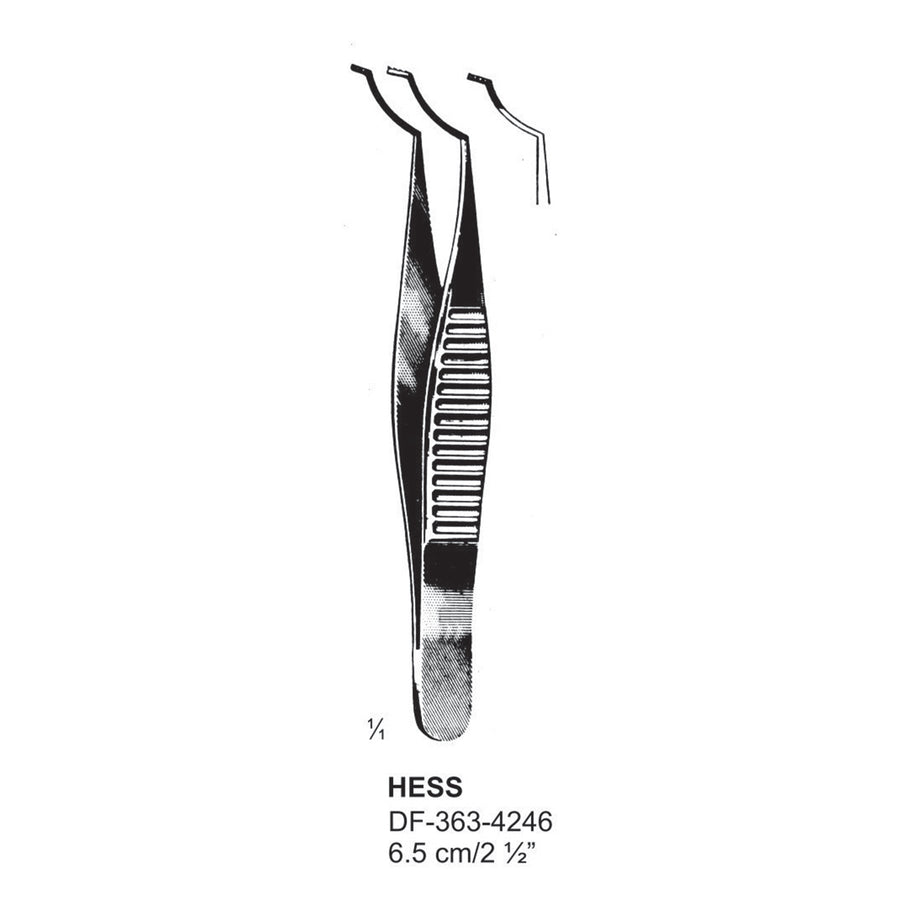 Hess Forceps, 6.5cm (DF-363-4246) by Dr. Frigz