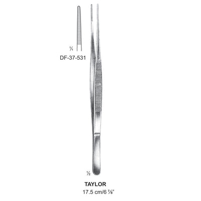 Taylor Dressing Forceps, Straight, 17.5cm  (DF-37-531)