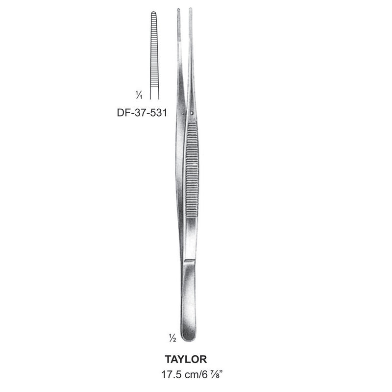 Taylor Dressing Forceps, Straight, 17.5cm  (DF-37-531) by Dr. Frigz