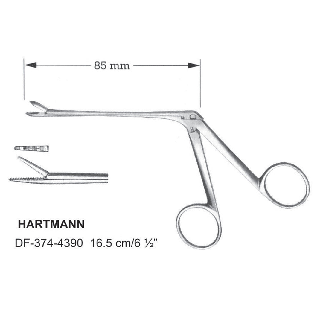 Hartmann Ear Forcep Serrated 16.5cm  (DF-374-4390) by Dr. Frigz