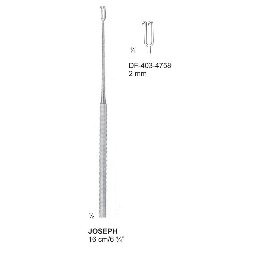 Joseph Nasal Hooklets, 2 Prong, 2mm , 16cm  (DF-403-4758) by Dr. Frigz