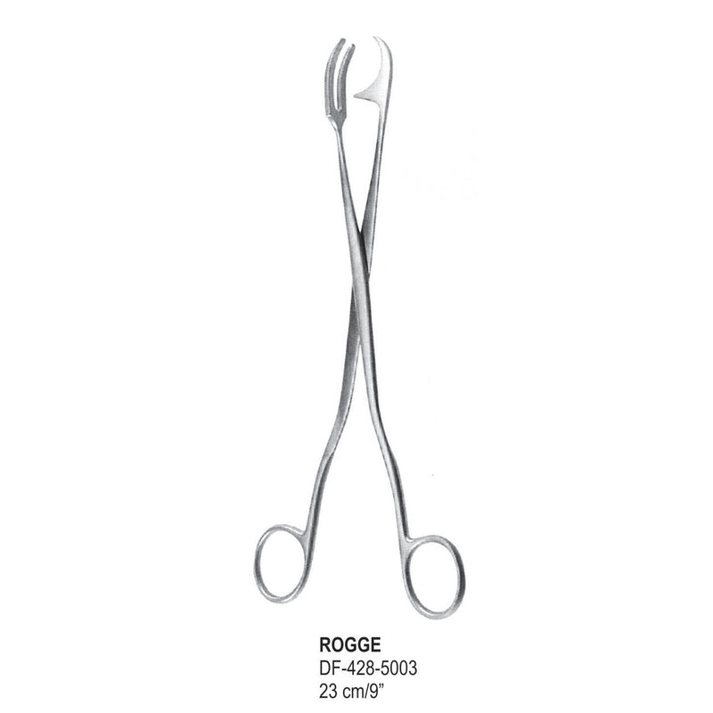 Rogge Sterilizing Forceps, 23cm  (DF-428-5003) by Dr. Frigz
