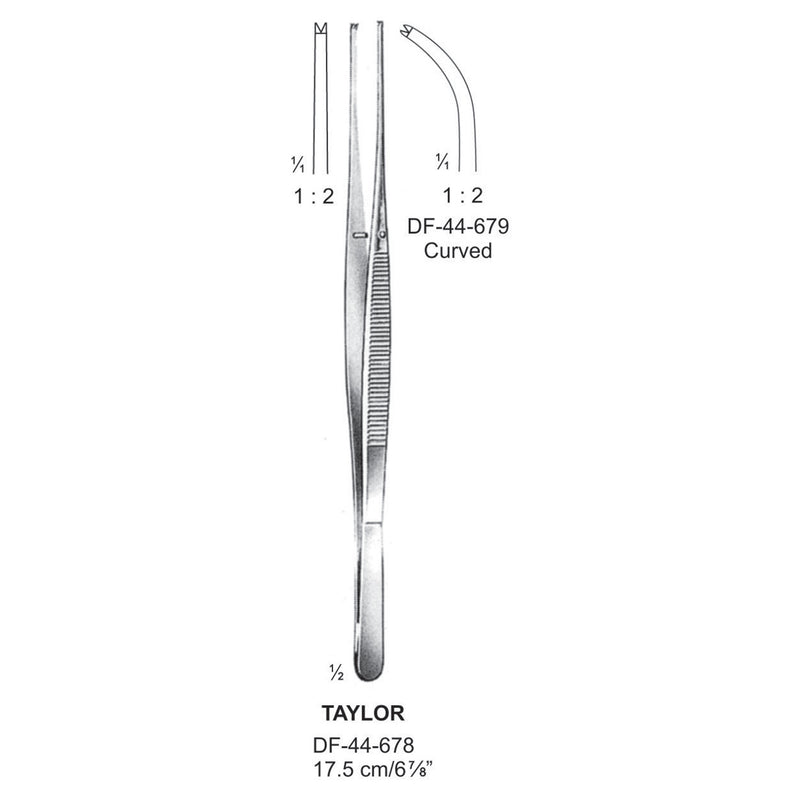 Taylor Tissue Forceps, Straight, 1:2 Teeth, 17.5cm  (DF-44-678) by Dr. Frigz
