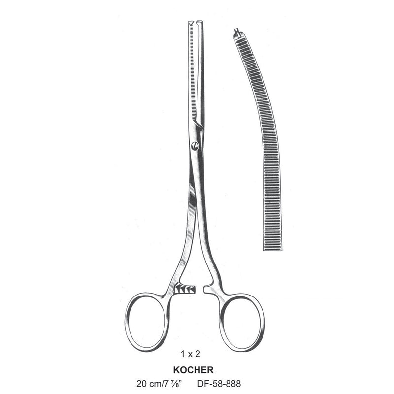 Kocher Artery Forceps, Curved, 1X2 Teeth, 20cm (DF-58-888) by Dr. Frigz