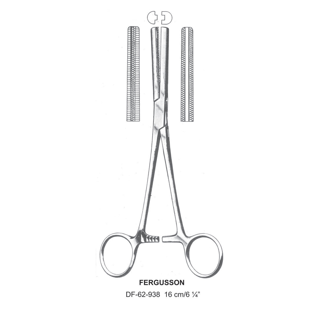 Fergusson Forceps, Straight, 16cm (DF-62-938) by Dr. Frigz
